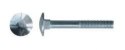 Galvanized lock screw. M10x250MM PN82406 DIN603 - BERIZA